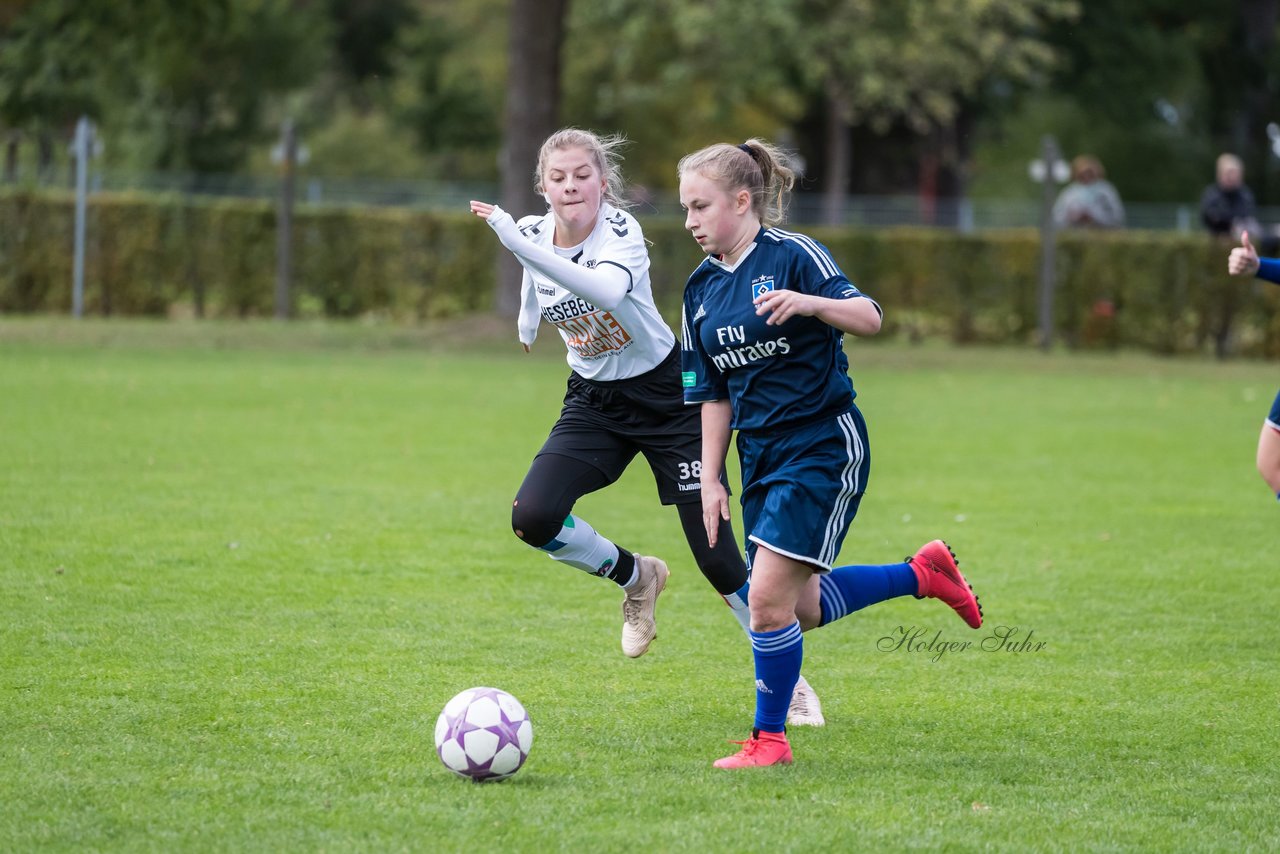 Bild 317 - B-Juniorinnen SV Henstedt Ulzburg - Hamburger SV : Ergebnis: 2:3